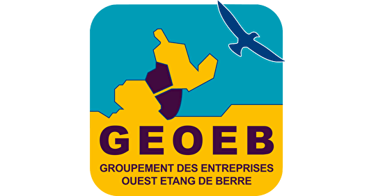 logo GEOEB