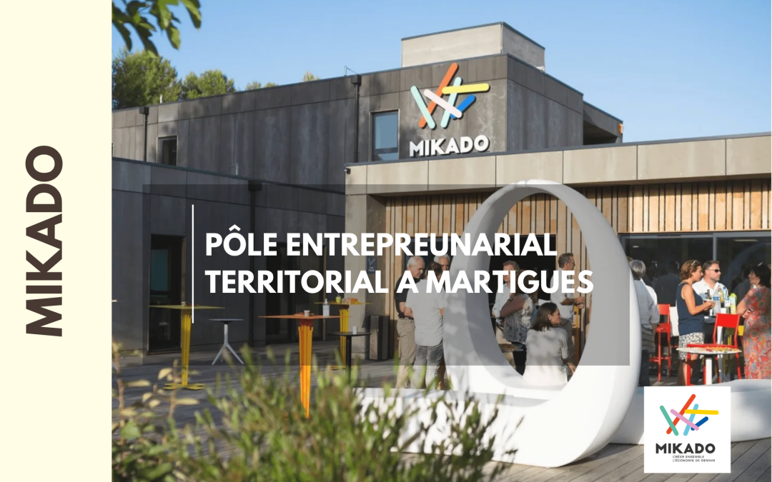 MIKADO, révéler l&rsquo;identité d&rsquo;un projet singulier