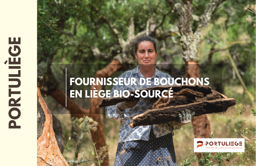 PORTULIEGE reference EXECO