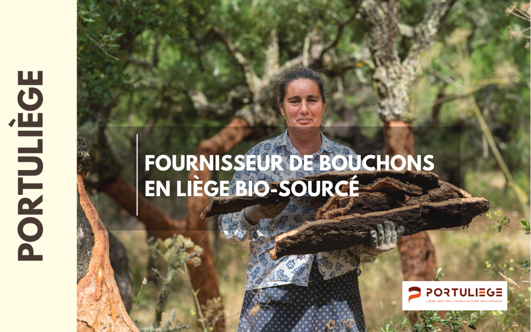 PORTULIEGE, faire émerger une marque derrière un savoir-faire