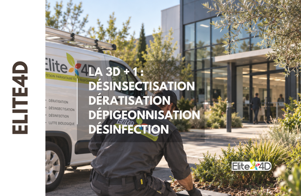 La 3D + 1 désinsectisation DératisatiOn dépigeOnnisation désinfection