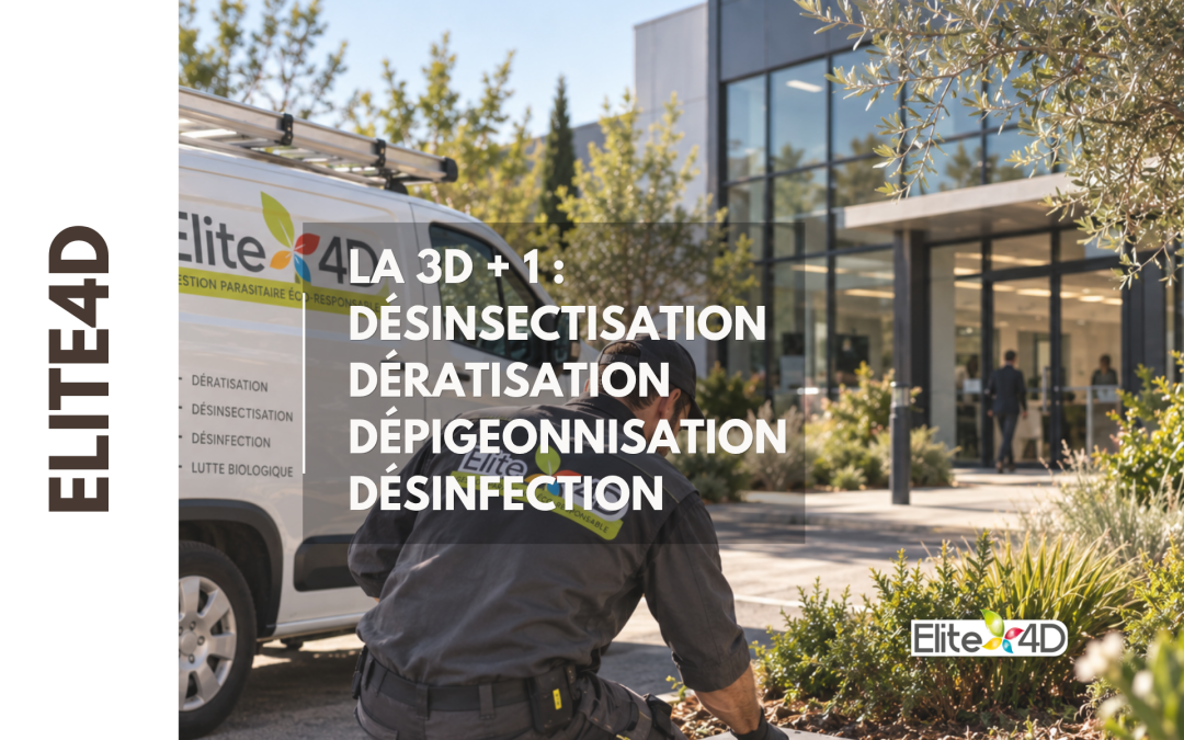 ELITE 4D, grandir ensemble dans la durée